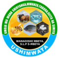 USHIMWATA – MBEYA
